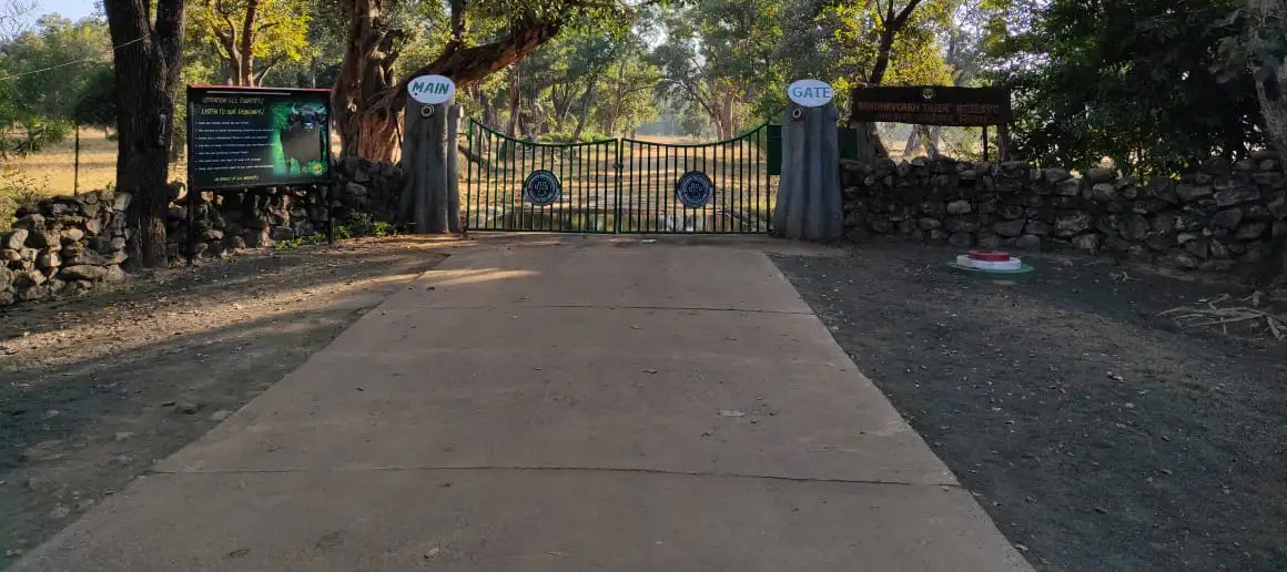 Khitauli Zone safari gate 3 wild elephants